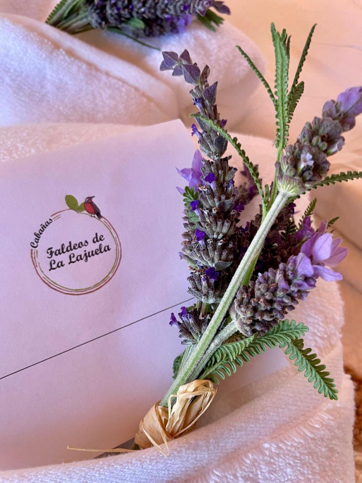 Cabanas Boutique Faldeos De La Lajuela Санта-Крус Екстер'єр фото